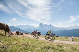 Val Gardena